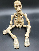 Ceramic Skeleton Shelf Sitter
