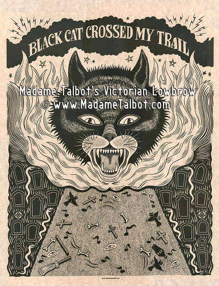 Black Cat Delta Blues Poster