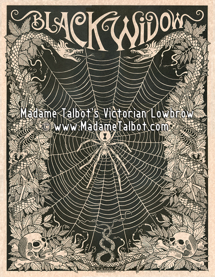Black Widow Spider Poster