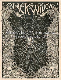 Black Widow Spider Poster