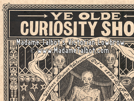 Ye Olde Curiosity Shop Poster