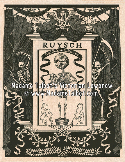 Frederik Ruysch Anatomy Poster