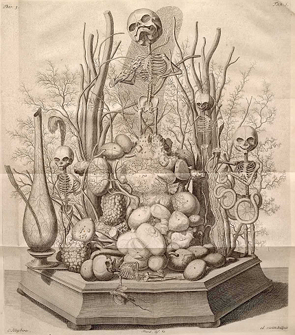 Frederik Ruysch Diorama illustrated by Cornelius Huyberts