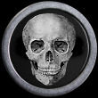 Oddities and Curiosities Wanted Oddities and Curiosities Wanted